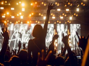 Visuel d'illustration de la foule d'un concert